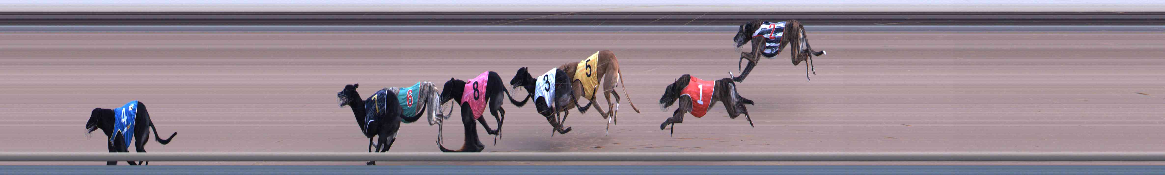 Race result finish photo